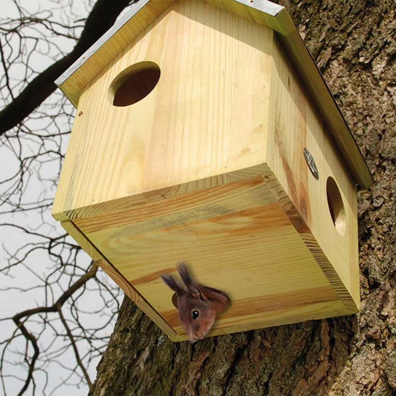 La Maison des écureuils
