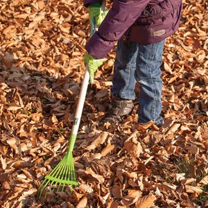 Rateau à feuille en bois & métal enfant