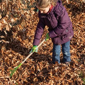 Rateau à feuille en bois & métal enfant
