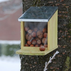 Mangeoire pour écureuils