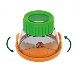 Terrarium pour enfant