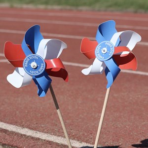Moulin à vent paris 2024