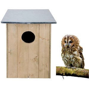 Nichoir chouette hulotte