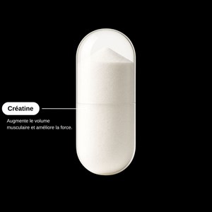 Créatine creapure® - cure sport - 1 mois