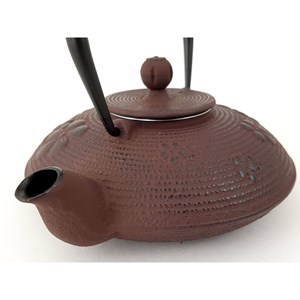 Théière zongse marron en fonte