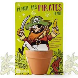 Carte nature un bananier pour le pirate