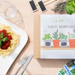 Box graines de plantes aromatiques