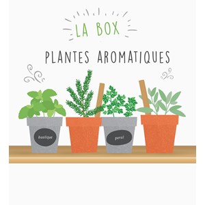 Box graines de plantes aromatiques