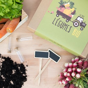 Box bio