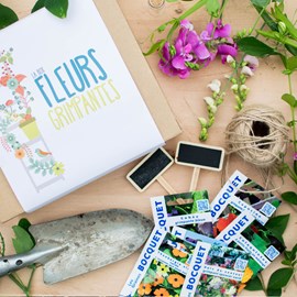 Box de graines de fleurs grimpantes