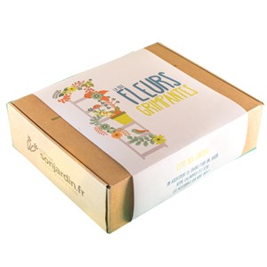 Box fleurs grimpantes