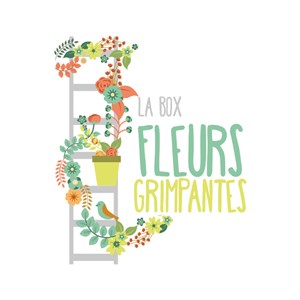 Box fleurs grimpantes