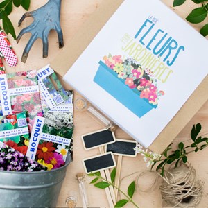 Box fleurs jardinères et balcons