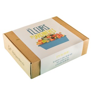Box fleurs jardinères et balcons