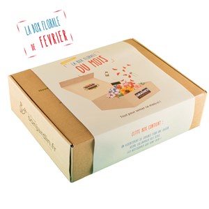 Box graines de fleurs à semer en février