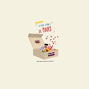 Box graines de fleurs à semer en mars