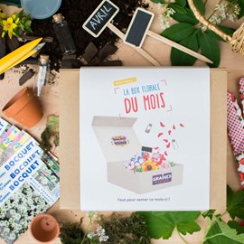 Box graines de fleurs à semer en avril