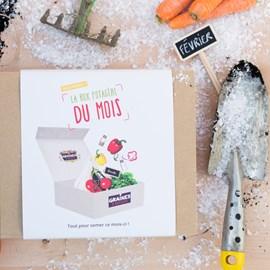 Box graines potagères à semer en juin