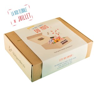 Box graines de fleurs à semer en juillet