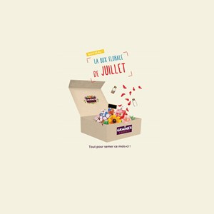 Box graines de fleurs à semer en juillet