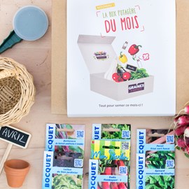 Box graines potagères à semer en avril