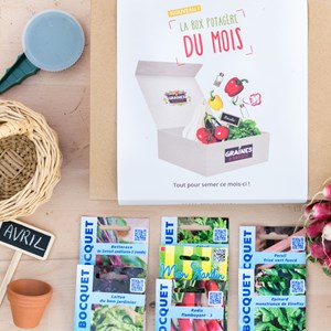 Box graines potagères à semer en avril