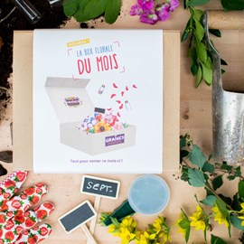 Box graines de fleurs de septembre