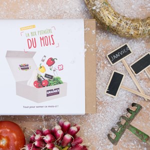 Box graines potagères à semer en janvier