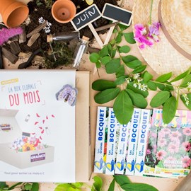 Box graines de fleurs de juin