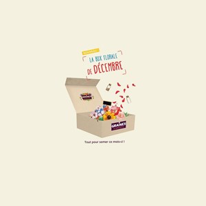 Box graines de fleurs d'août