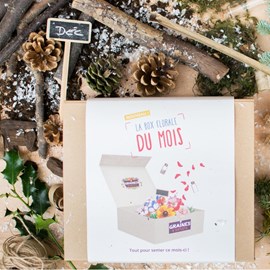 Box graines de fleurs de décembre