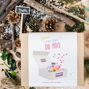 Box graines de fleurs de décembre