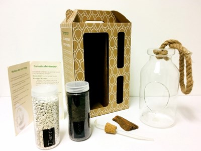 Kit terrarium - bottle l