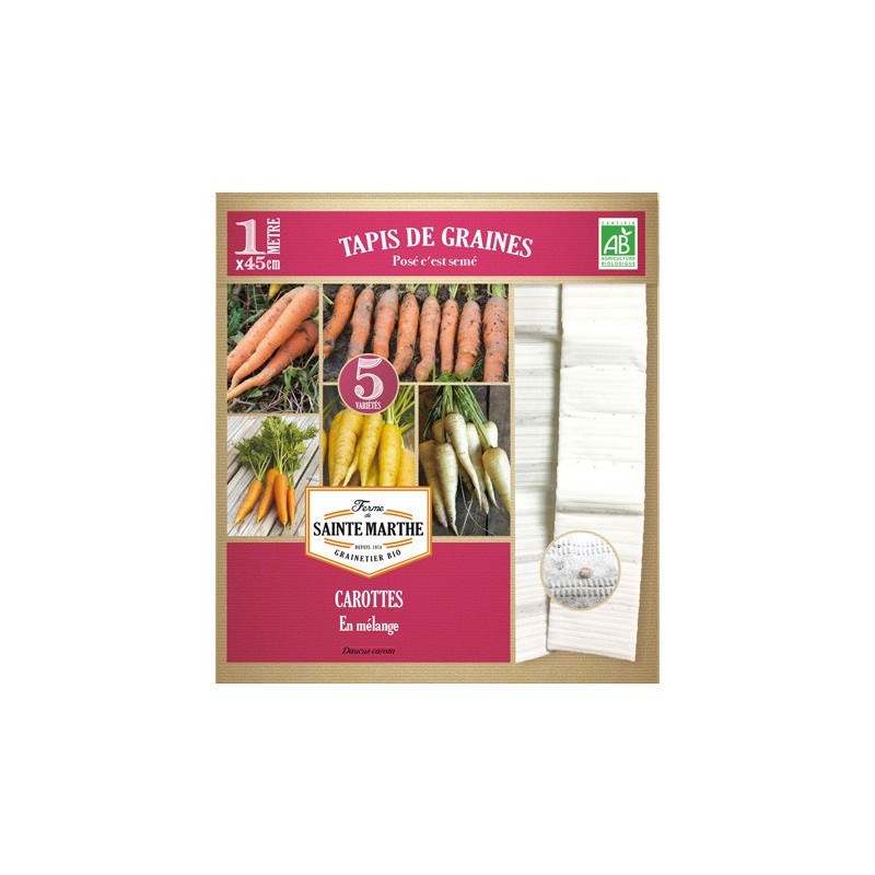Tapis de graines de carottes bio