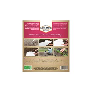 Tapis de graines de carottes bio