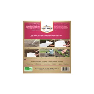 Tapis de graines de radis bio