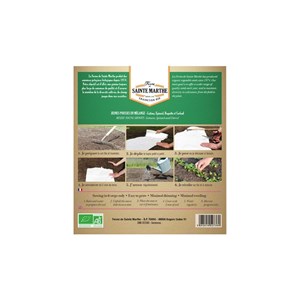 Tapis de graines de jeunes pousses bio