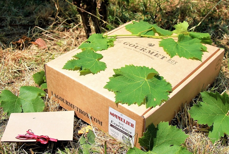 Faire pousser sa vigne : Kit à pousser du sommelier - 15,16 €
