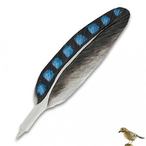 Stylo bille plume de geai en bois