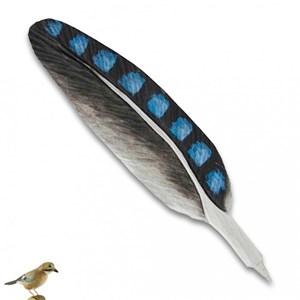 Stylo bille plume de geai en bois