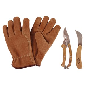 Coffret outils pour tailler