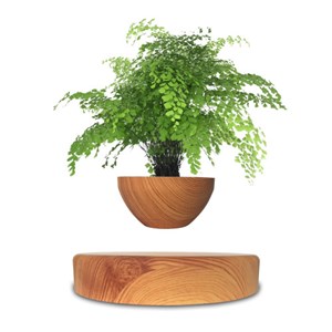 Mini-jardin en lévitation imitation bois