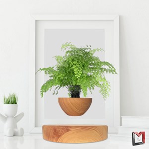 Mini-jardin en lévitation imitation bois