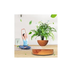 Mini-jardin en lévitation imitation bois