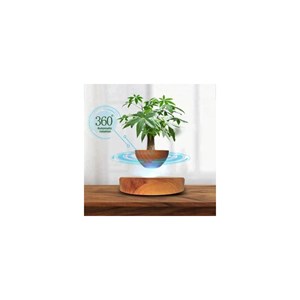 Mini-jardin en lévitation imitation bois