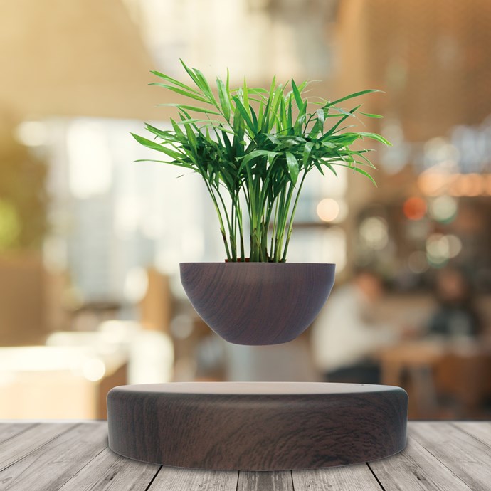 Mini Jardin En Levitation Imitation Bois Nature Decouvertes