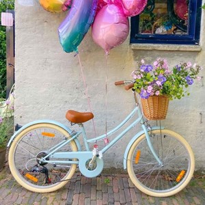 Vélo bleu 24 pouces bobbin gingersnap