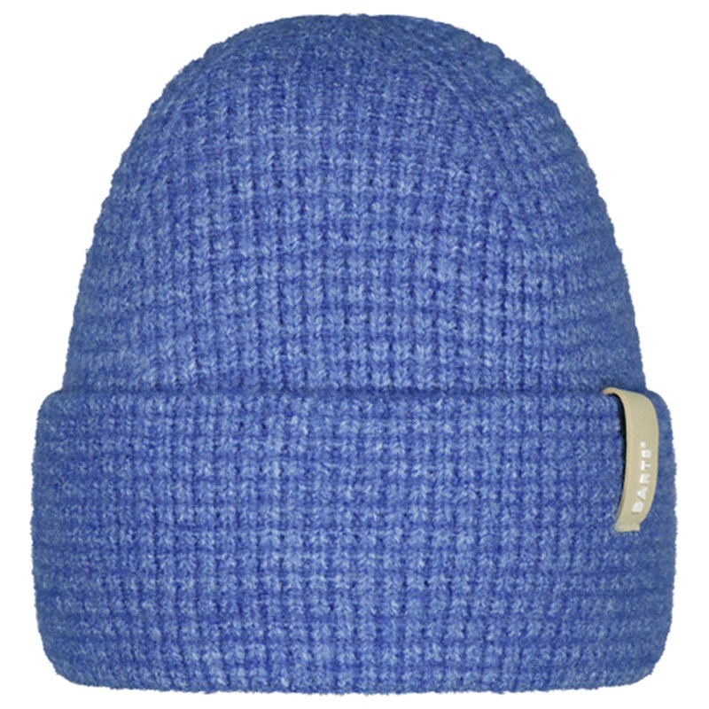 Bonnet barts vireo bleu