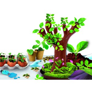 Botanique 50 expériences