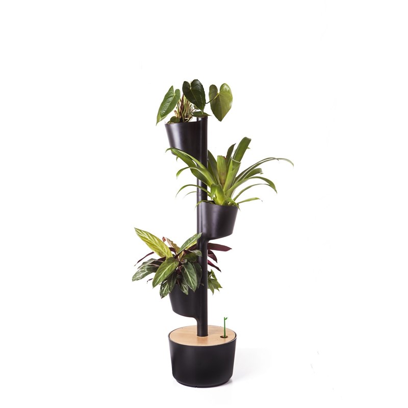Citysens - Jardinière verticale smart, 3 pots noir